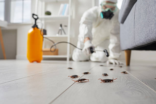 Commercial Kitchen Cockroach Control in Dock Junction